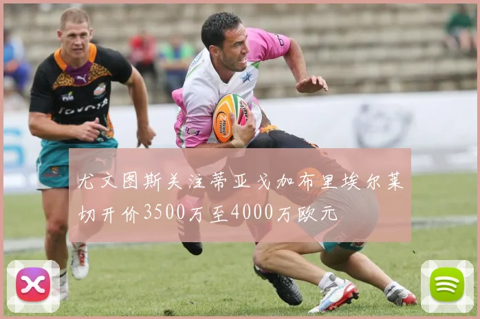 尤文图斯关注蒂亚戈加布里埃尔莱切开价3500万至4000万欧元